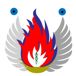 joaoaflsouza's emblem