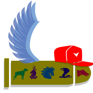 L0llomat0's emblem