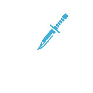 VaSiKK's emblem