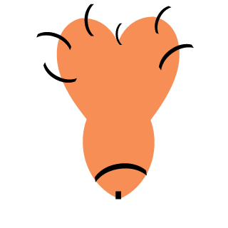 msm19's emblem