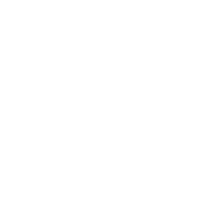 xXFIGNEWTONXx's emblem