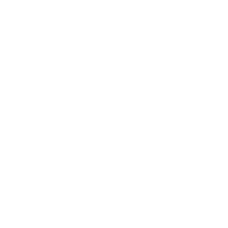 Vi21on's emblem
