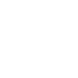 raybacat4's emblem