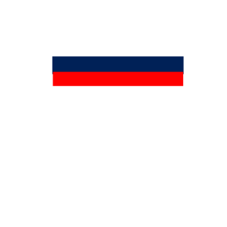 Valera_turururu's emblem