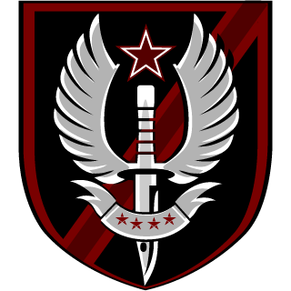 Black Vengeance's emblem