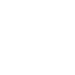 FuriousNik04's emblem