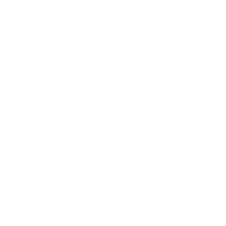 DelftBlau's emblem