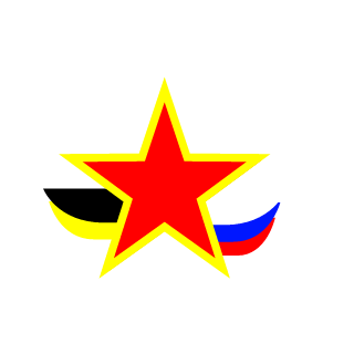 Robonators35rus's emblem