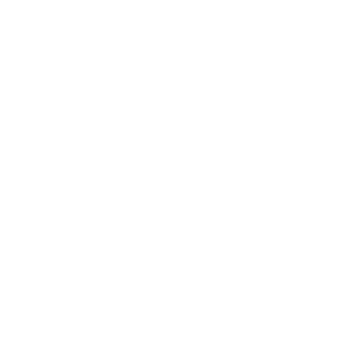 manoelleonam2004's emblem