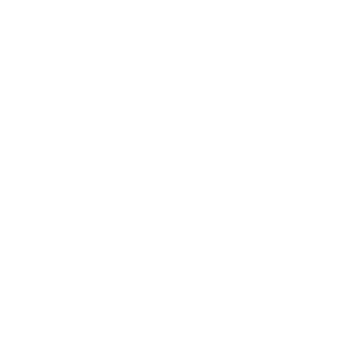 233R1S1NG's emblem