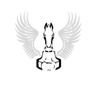 mrleche70's emblem