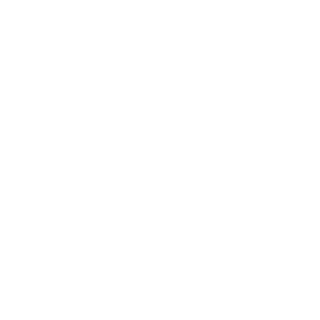 1MPRESS10N's emblem