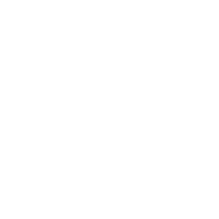 F1GHT OR D13's emblem