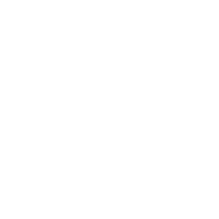 ASToE1's emblem