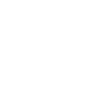 Schneckle55's emblem