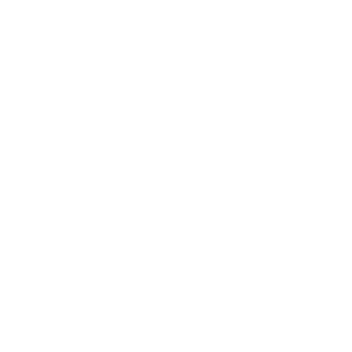 NYAFLX's emblem