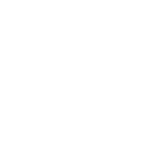 Brinsllley's emblem