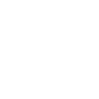 EngineerSapper65's emblem