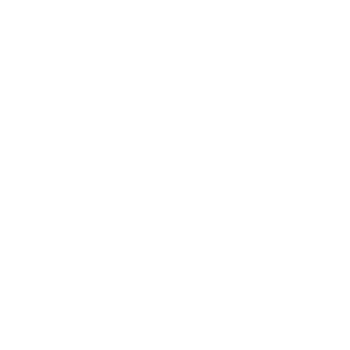 TrueJetSurfer's emblem