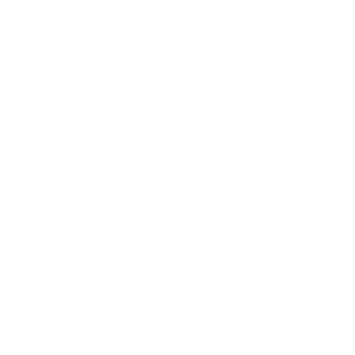 DYNAMESIC's emblem