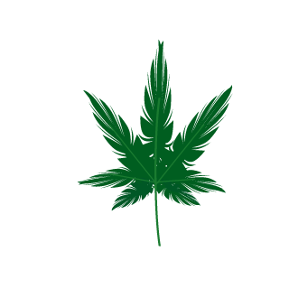 LayinDownTheLaw's emblem
