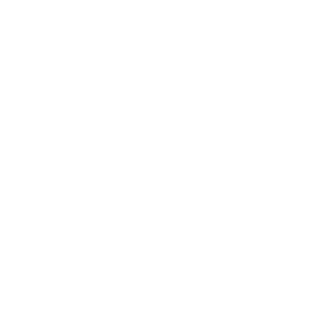 -lSkyliner's emblem