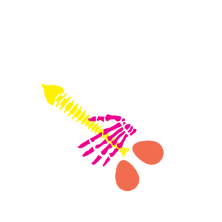 doubishidanteng's emblem