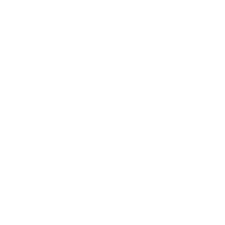 WZNGT's emblem