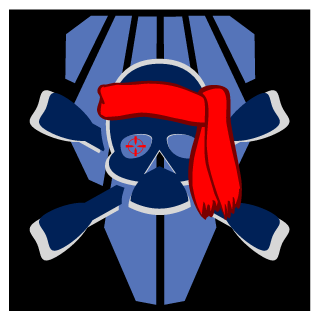 IbnzSR1000E's emblem