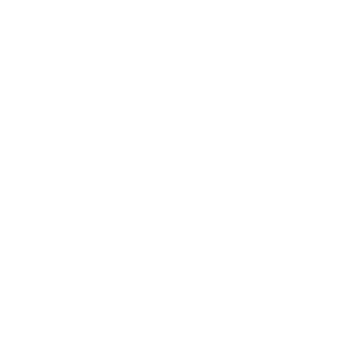 BINHOZAO's emblem