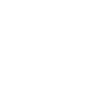 ShadyAnimeMan's emblem