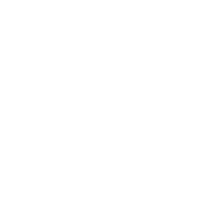2GunBoi's emblem