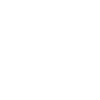 PhsycoticElf's emblem