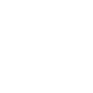 8-Bridge's emblem