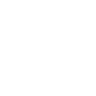 ThiElectro's emblem