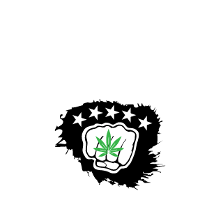 FacetedJamezz's emblem