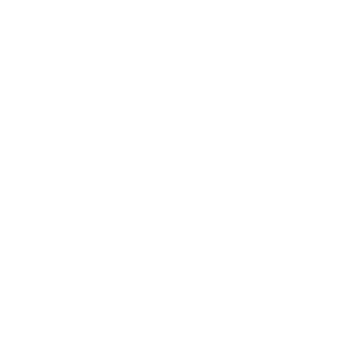 Borntohatex's emblem