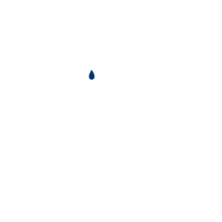 ScrungleNuts's emblem