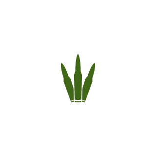 _HvyMetalPirate's emblem