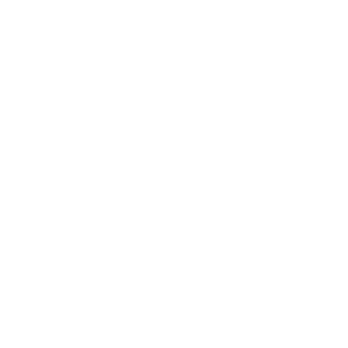 vbraudes's emblem