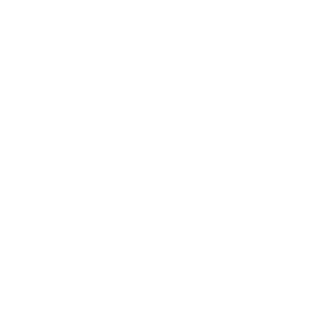 1st_Amendment's emblem