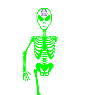 Quintin0o's emblem