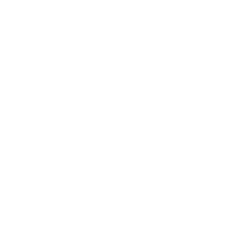demonAIMER11's emblem