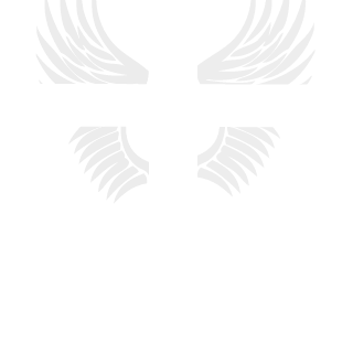 co0p11's emblem