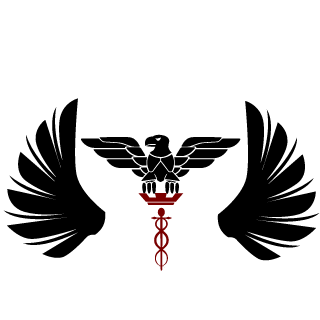 LeeAirx2's emblem