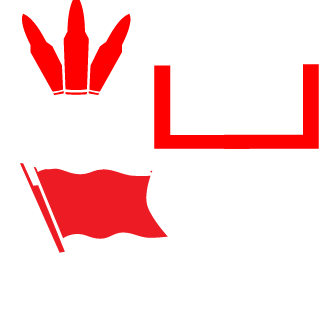 Szoku_PL's emblem