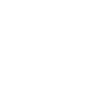 nxtboyIII's emblem