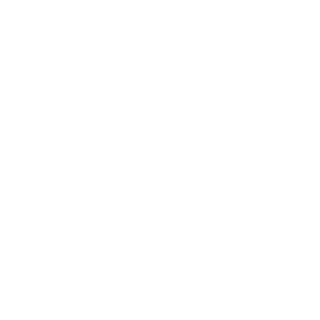 SupremeSchnitzel's emblem