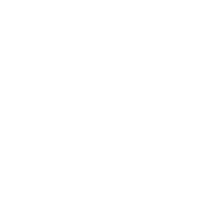 tomdomon's emblem