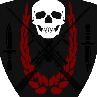 SilentReconForce's emblem